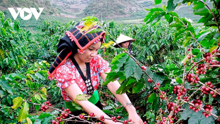 Three largest coffee import markets of Vietnam